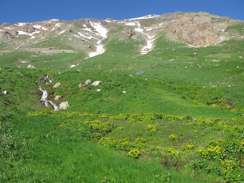 Chehel Cheshmeh Mountains 