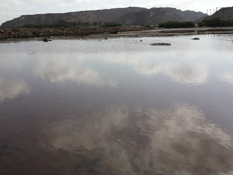 Pink Lake 