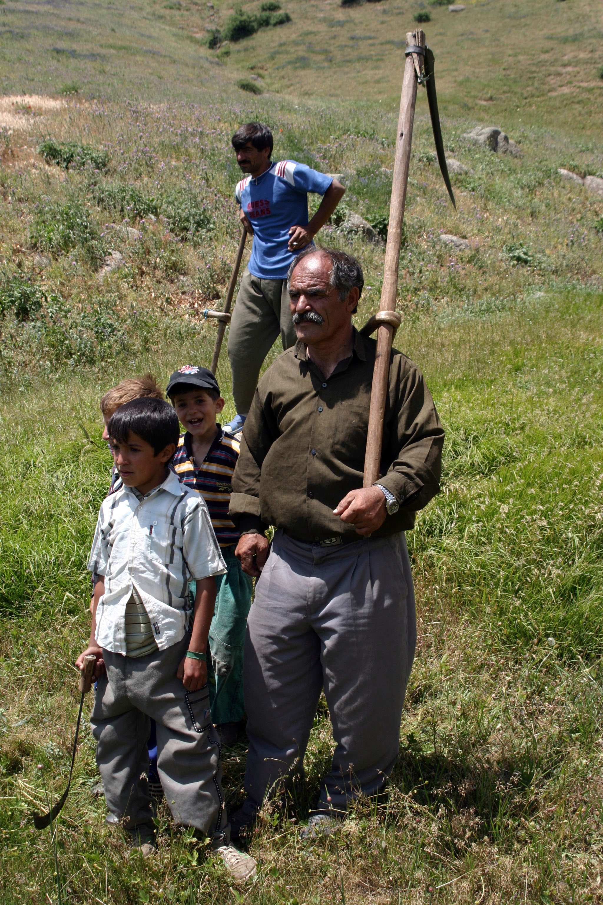 چیدن علوفه از مرتع در نزدیکی روستای لمبر 