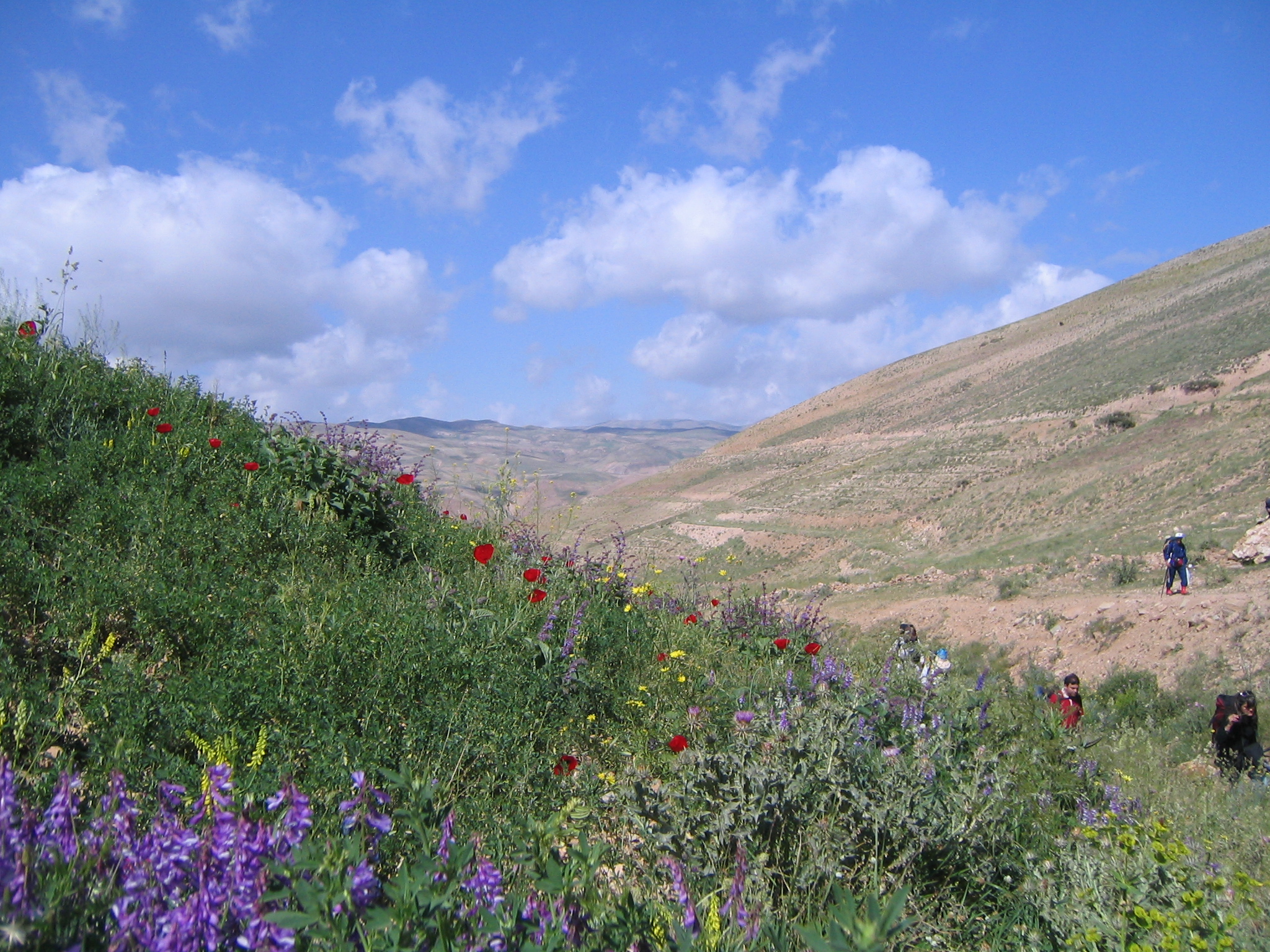 Khemes-Talesh 