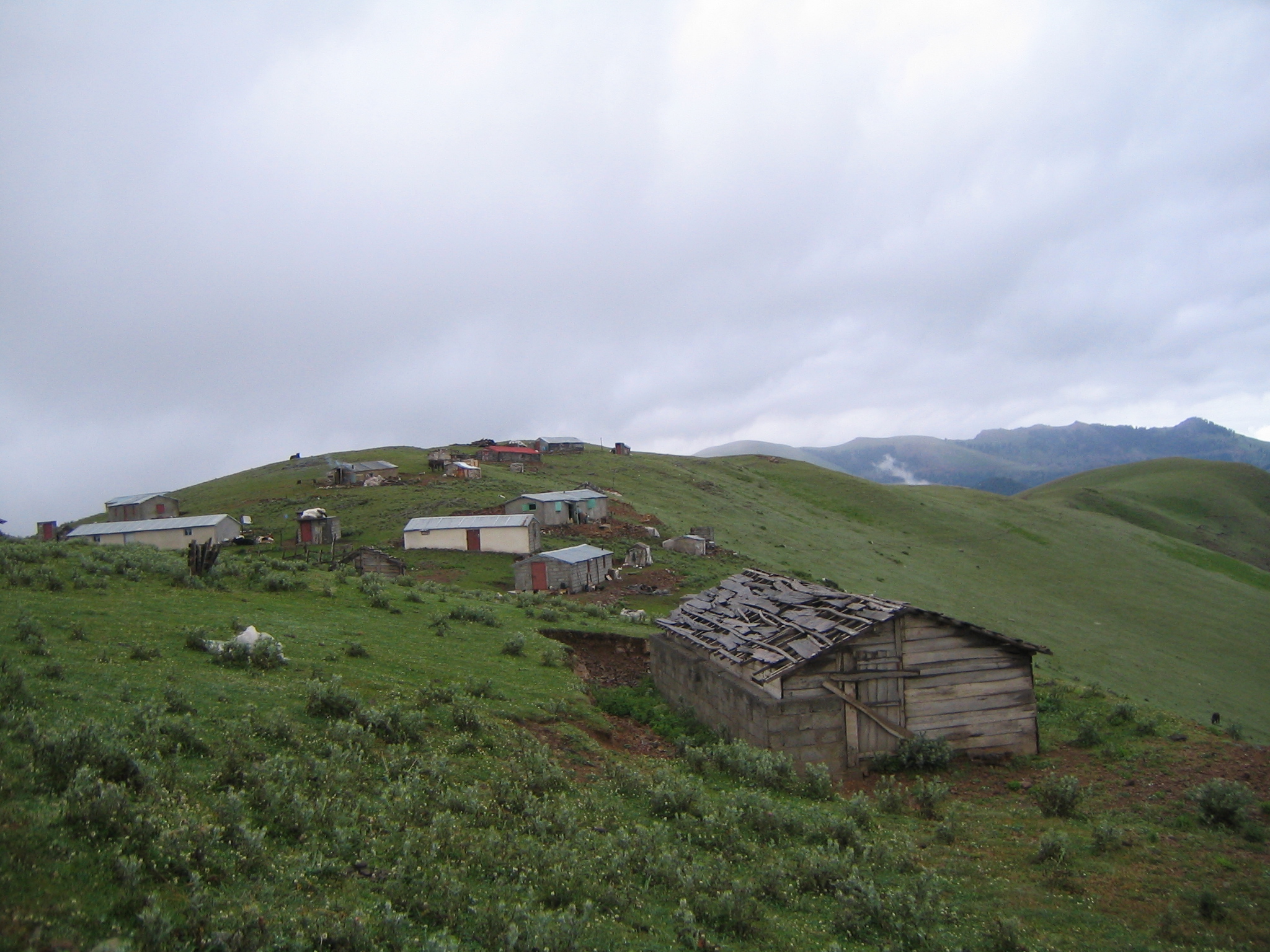 Khemes-Talesh 