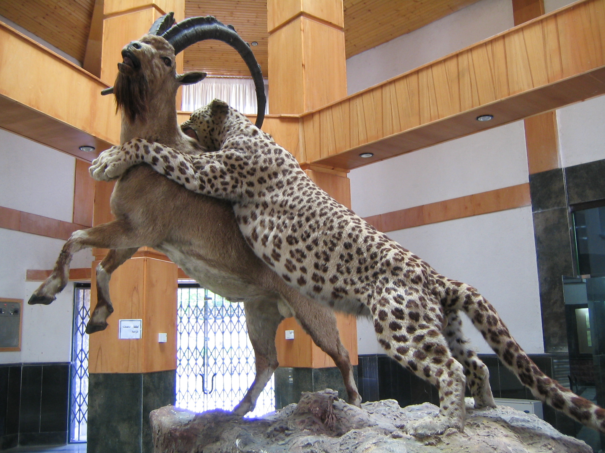 Golestan national park museum 