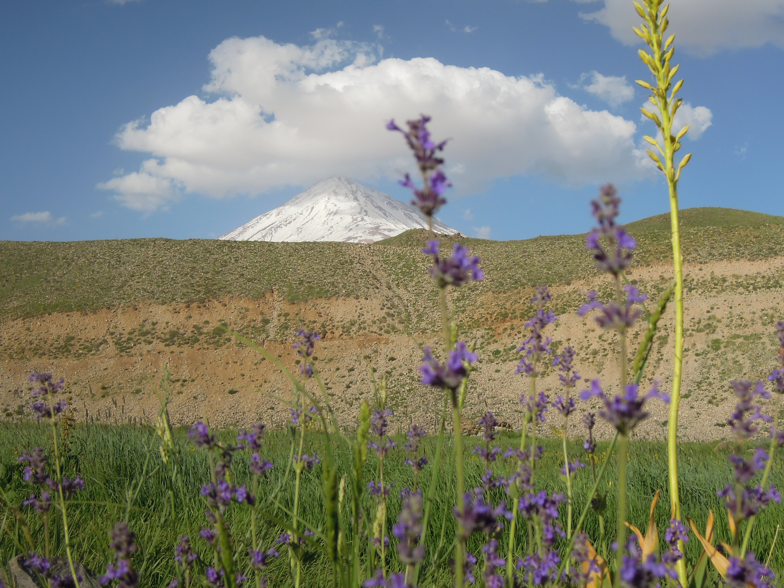 Damavand 