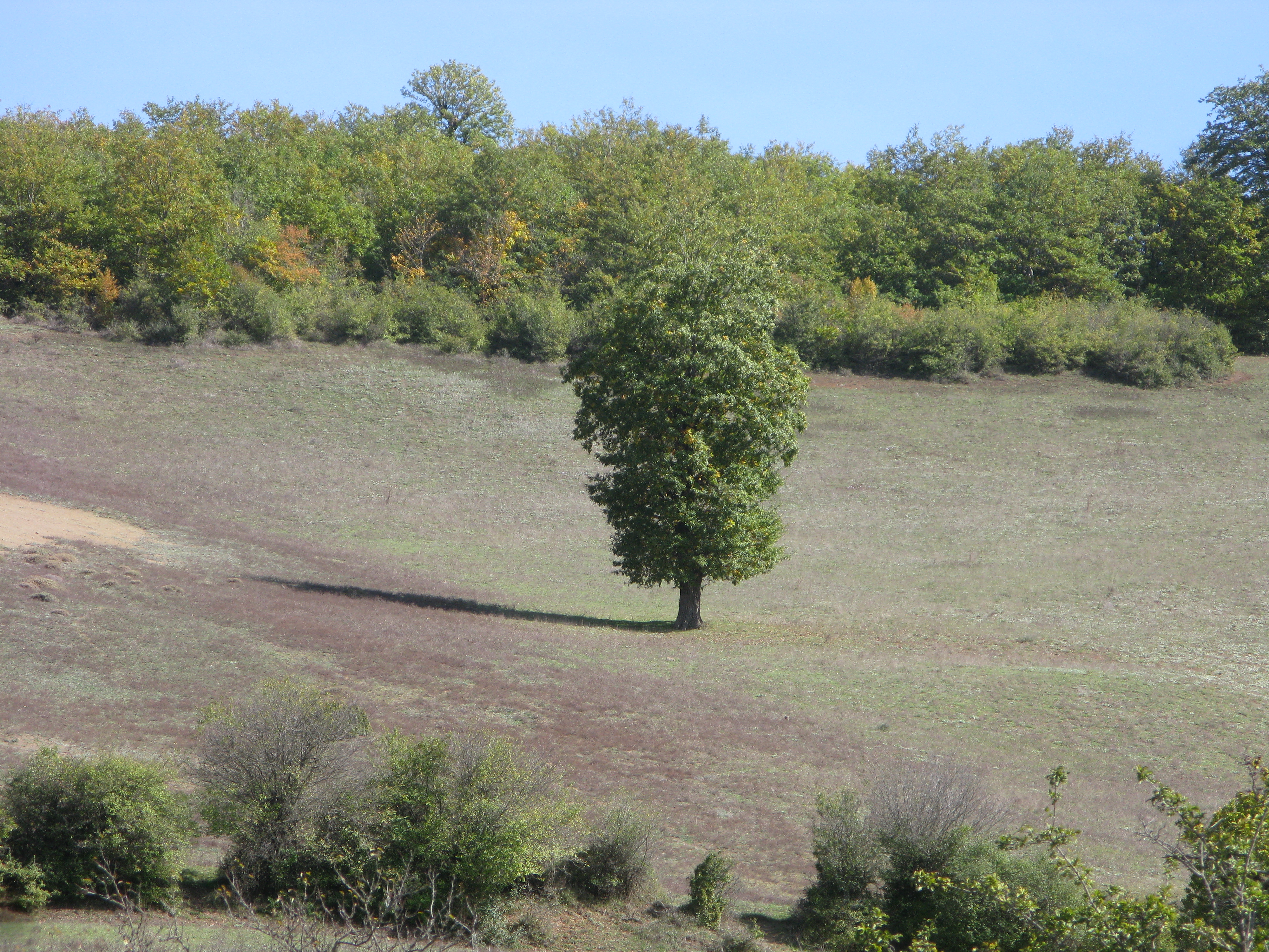 Kelardasht in Fall 