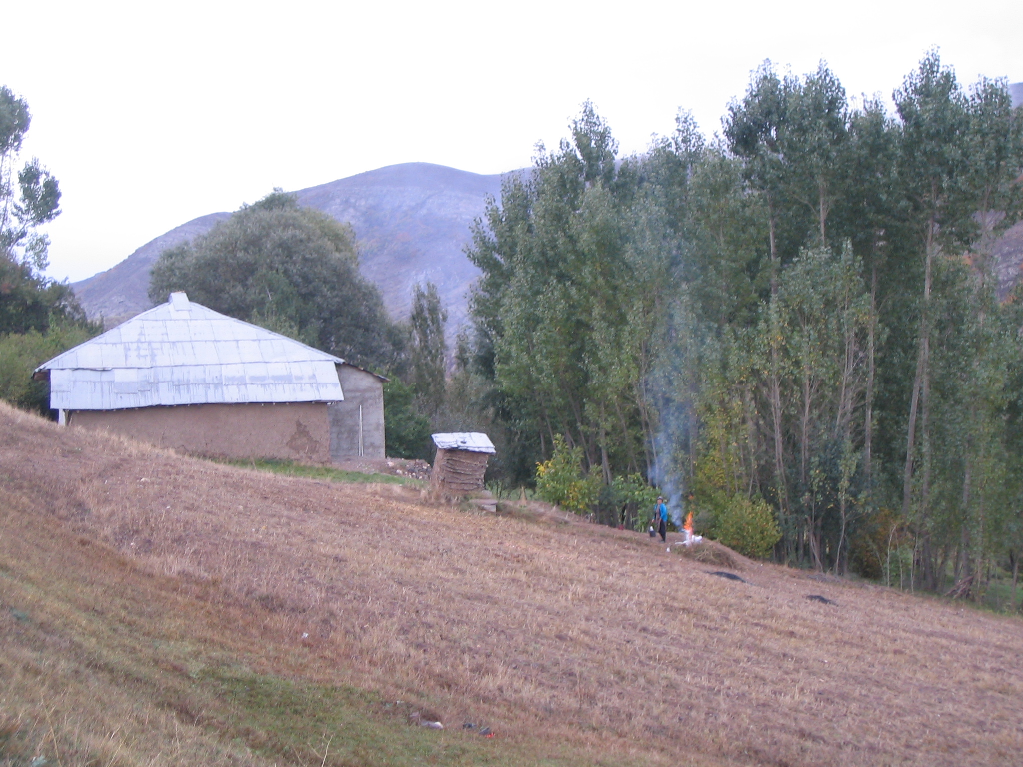 روستای شاه شهیدان 