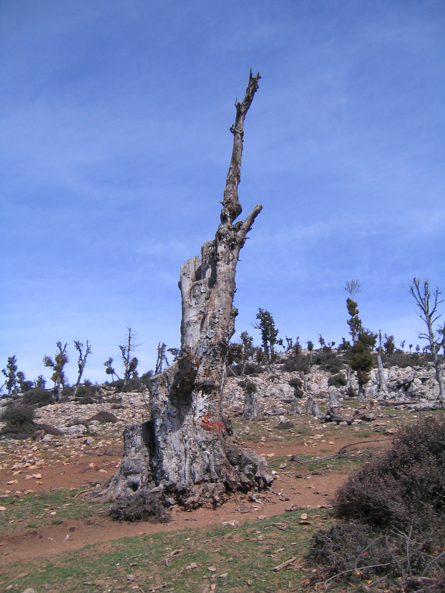 دامنه های کوه درفک 