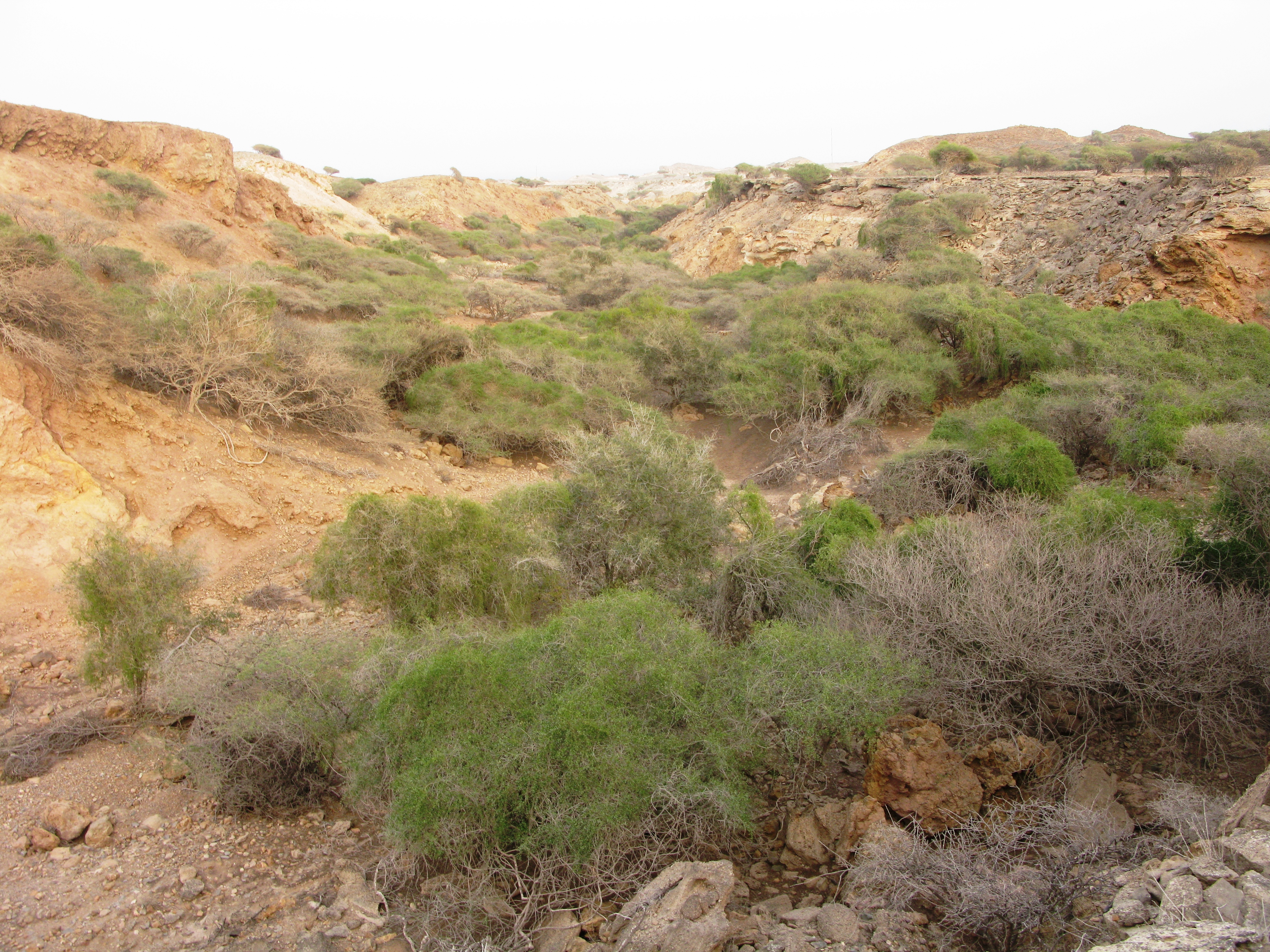 تنگه ناخدا در جزیره فارور 