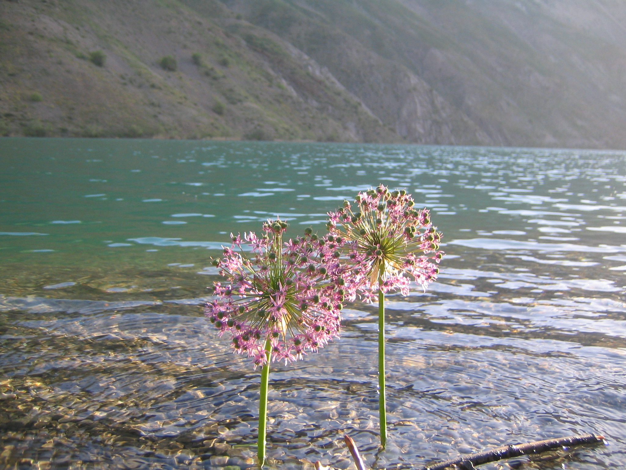 Great Gahar Lake 