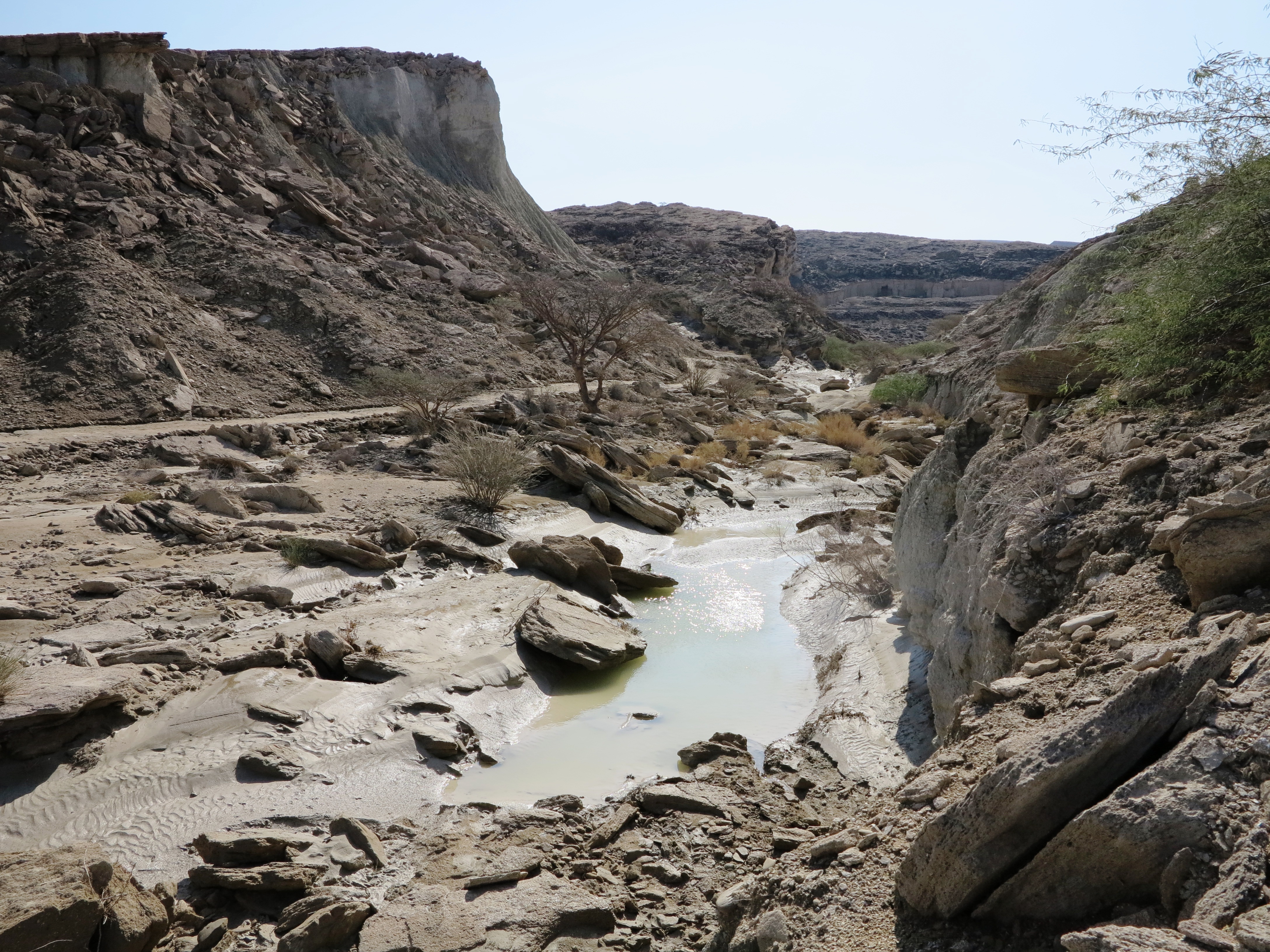 Chahkooh Valley 