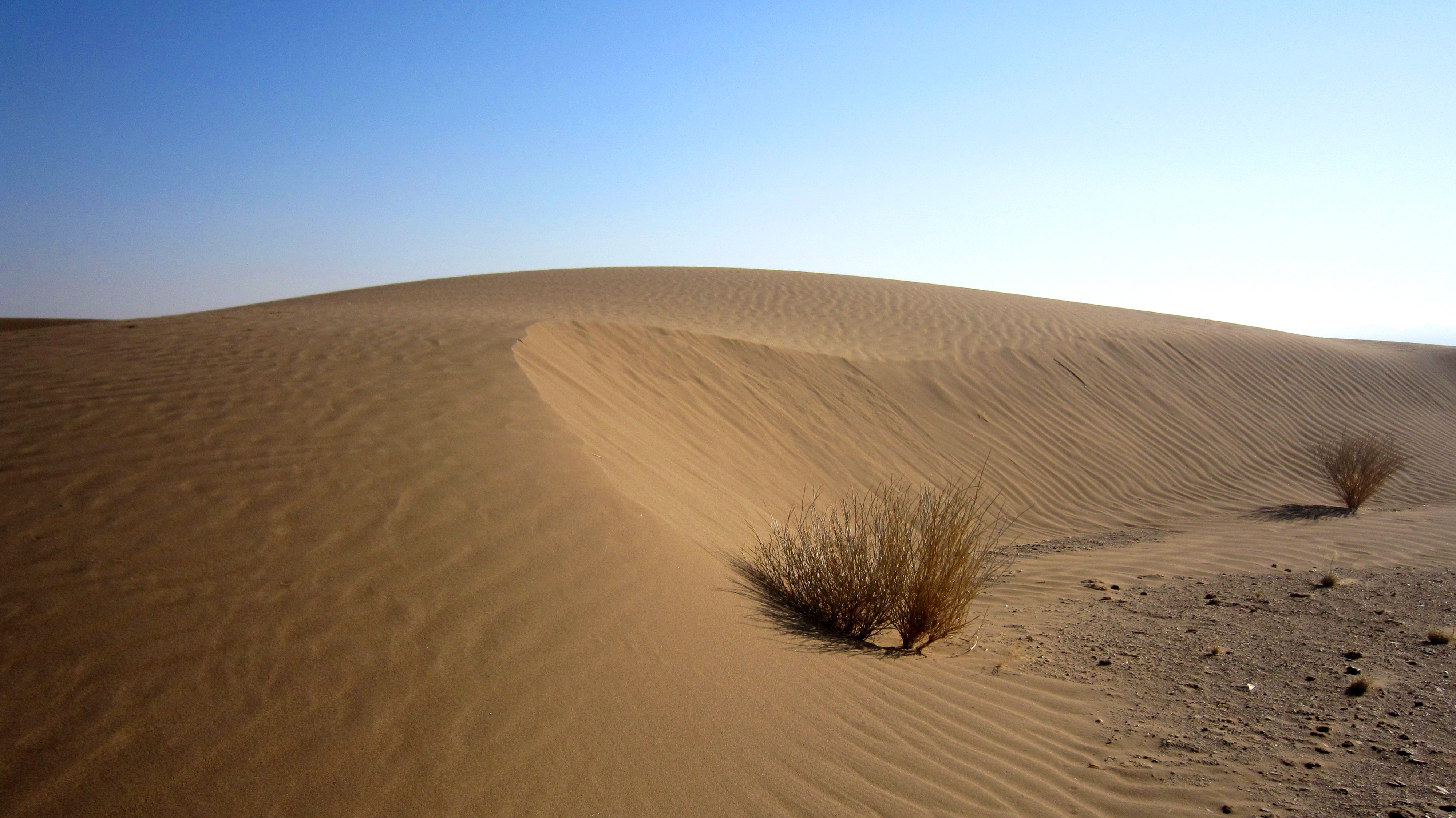Mesr Desert 