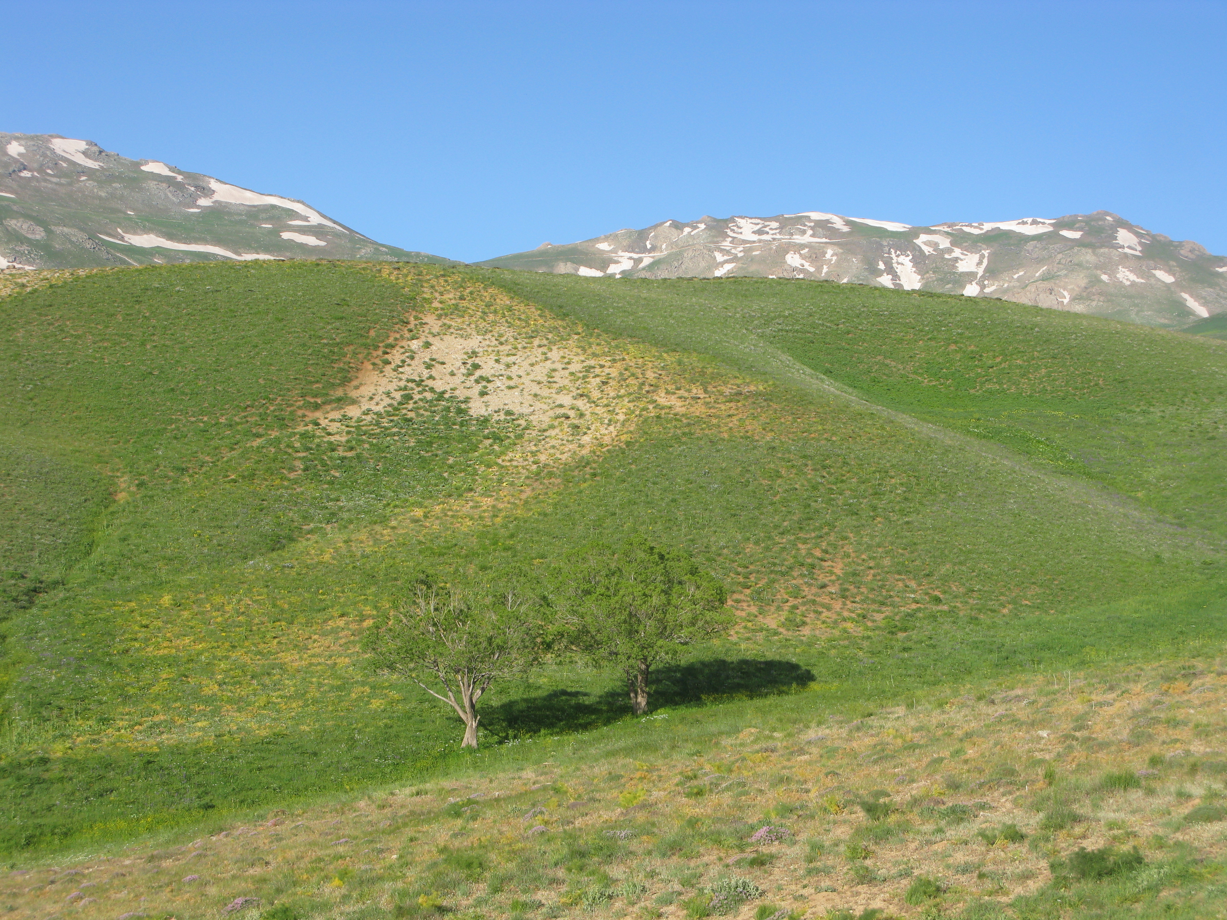 کوهستان چهل چه مه ،چهل چشمه 