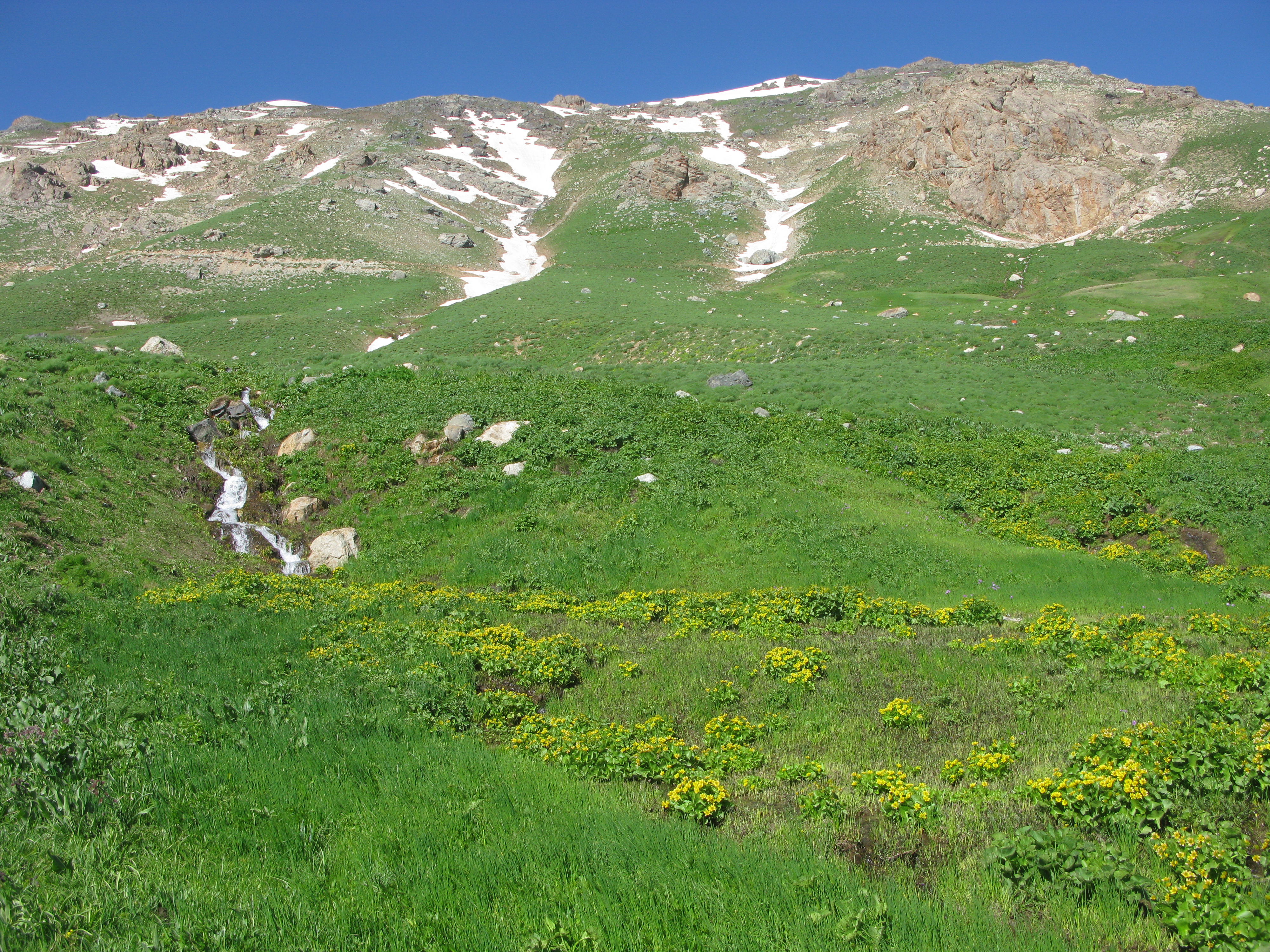 Chehel Cheshmeh Mountains 