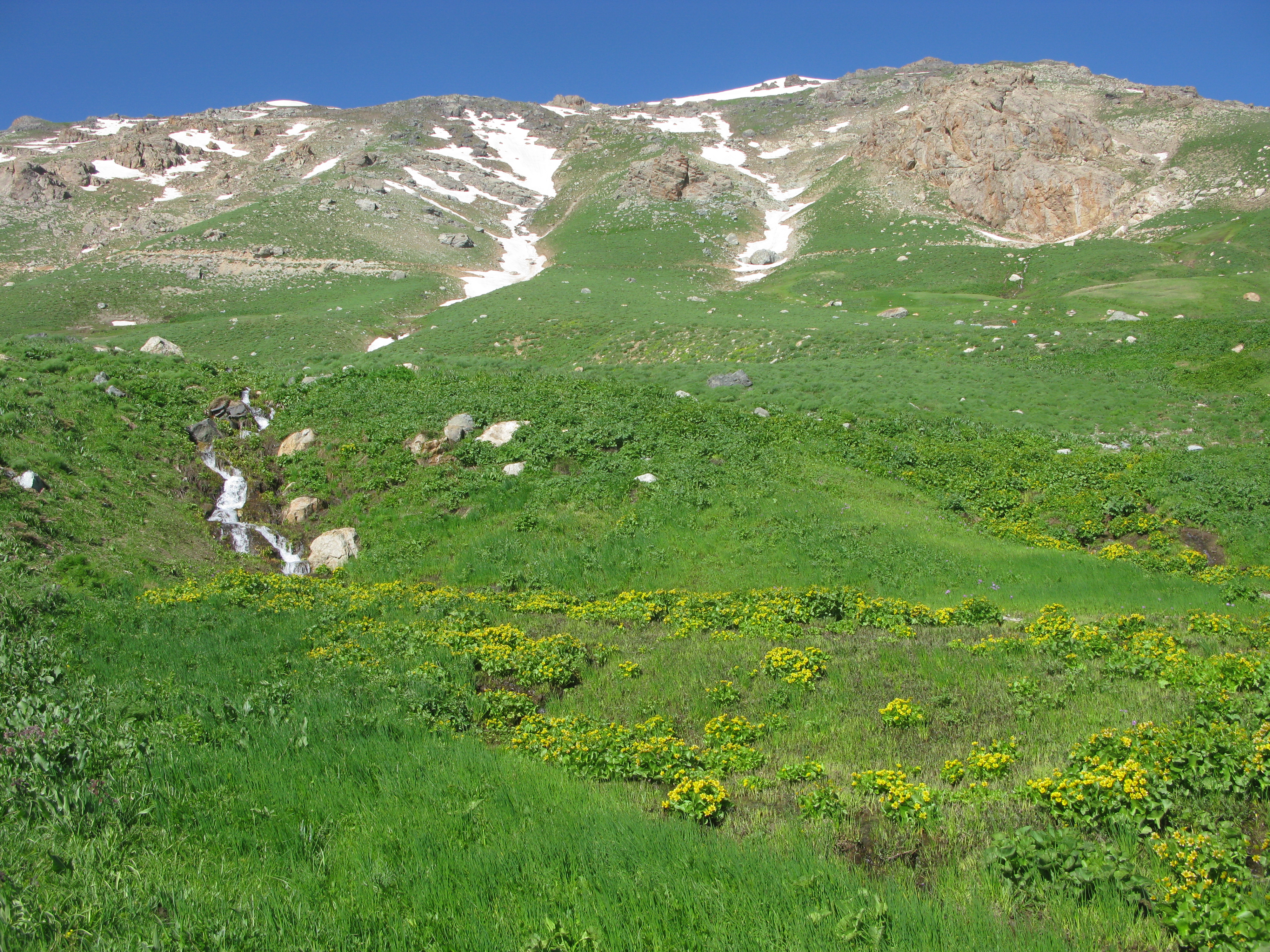 کوهستان چهل چه مه ،چهل چشمه 