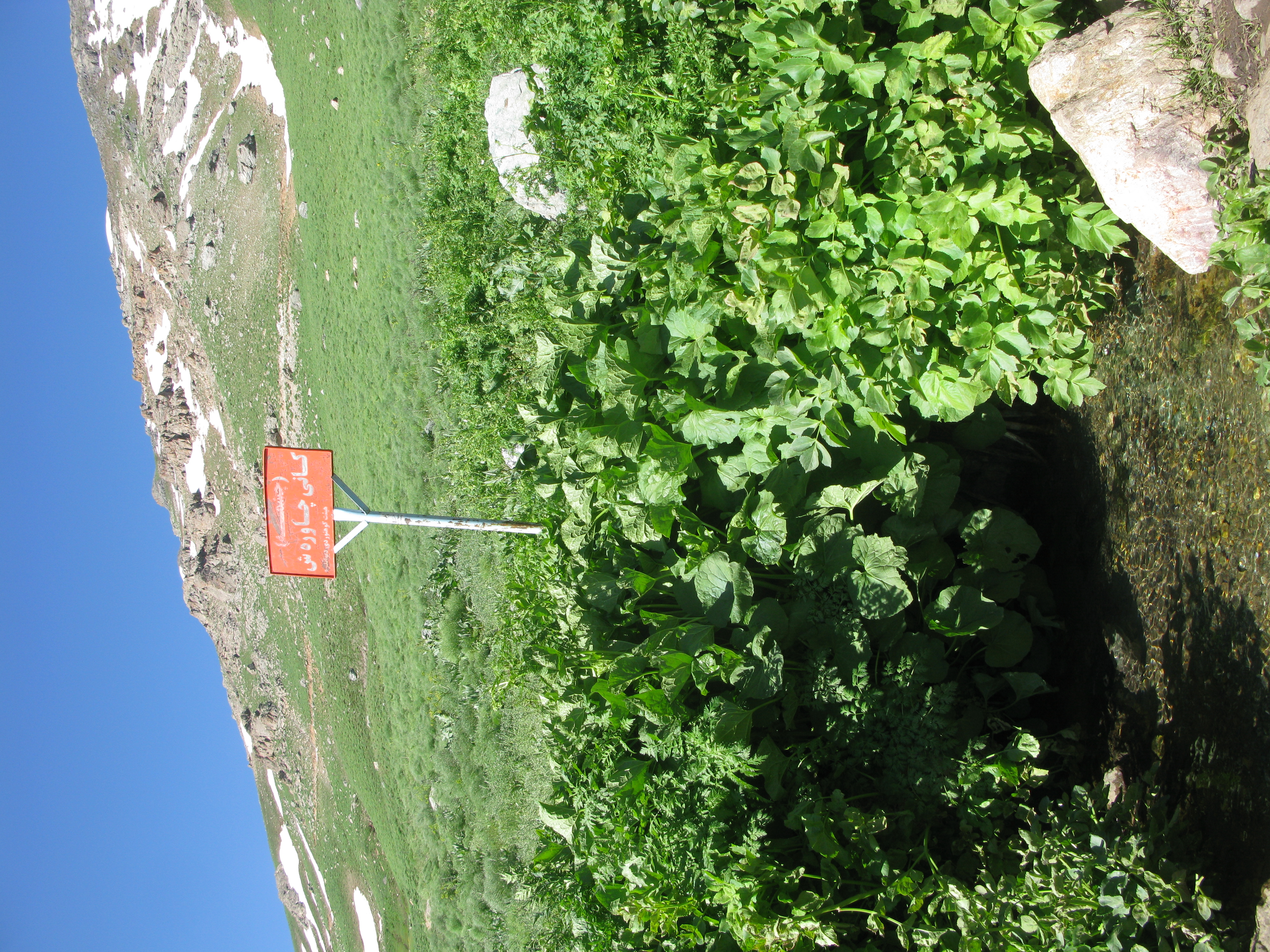 Chehel Cheshmeh Mountains 