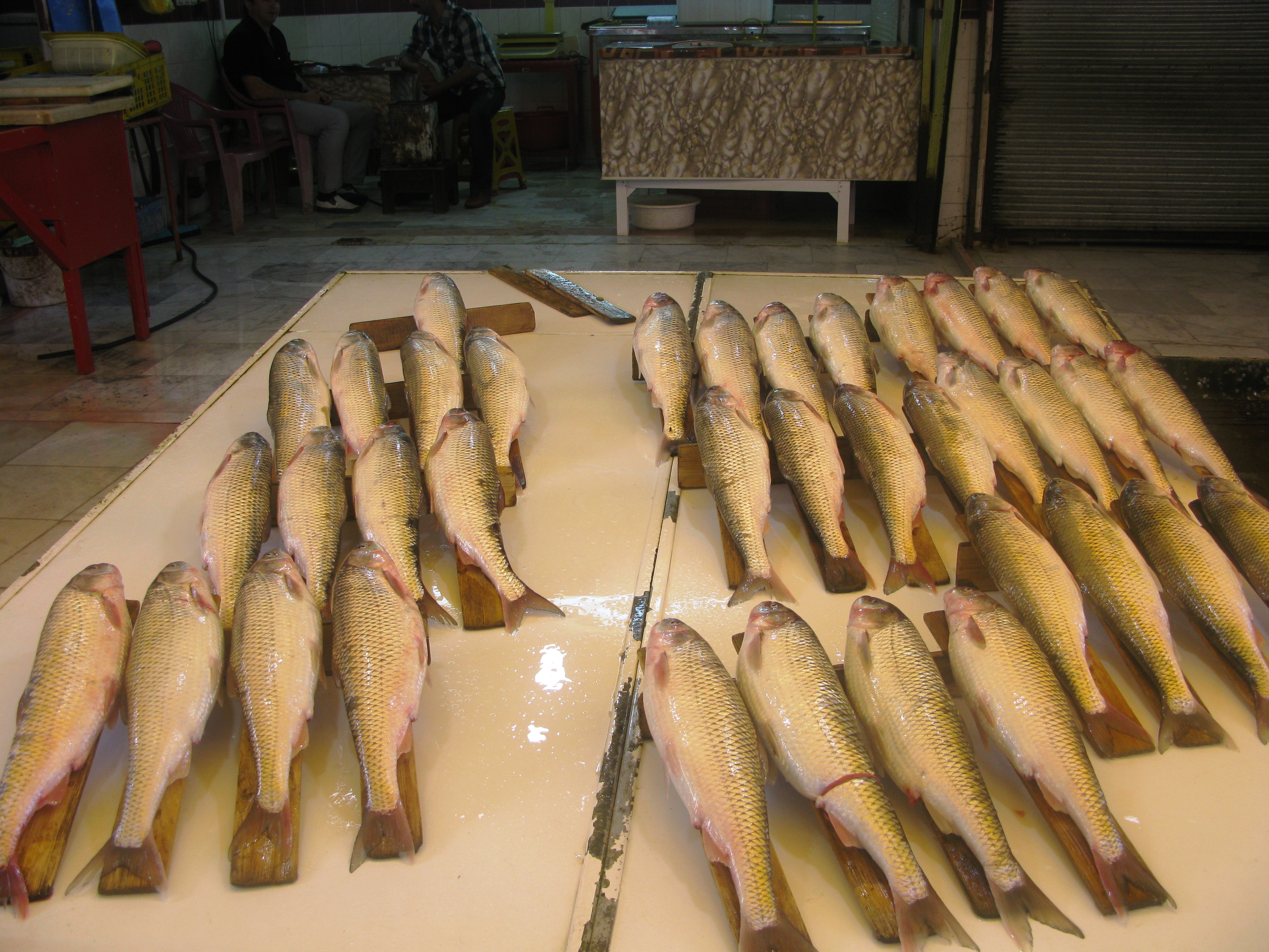 Fish Market Noshahr