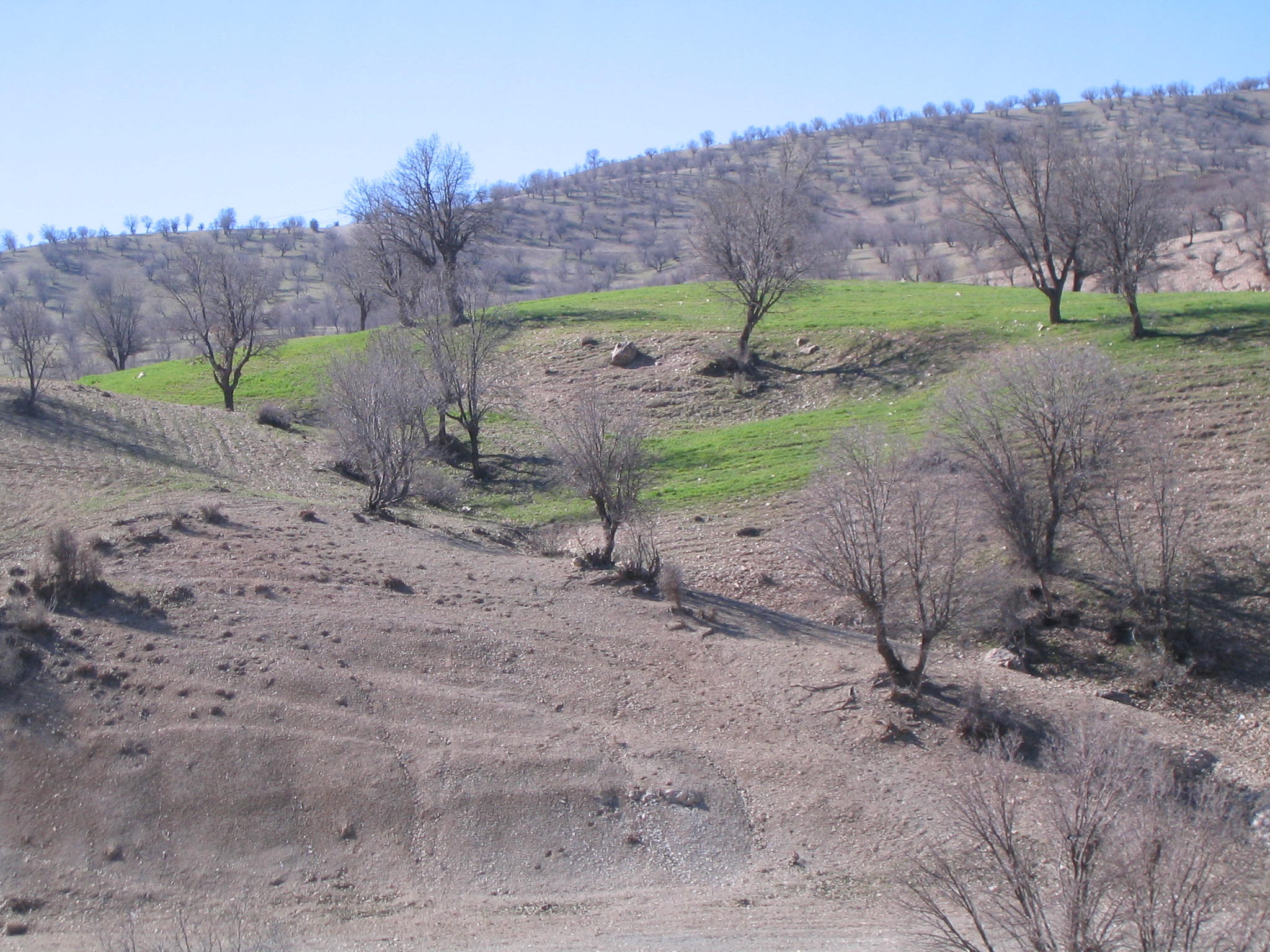 کبیرکوه 