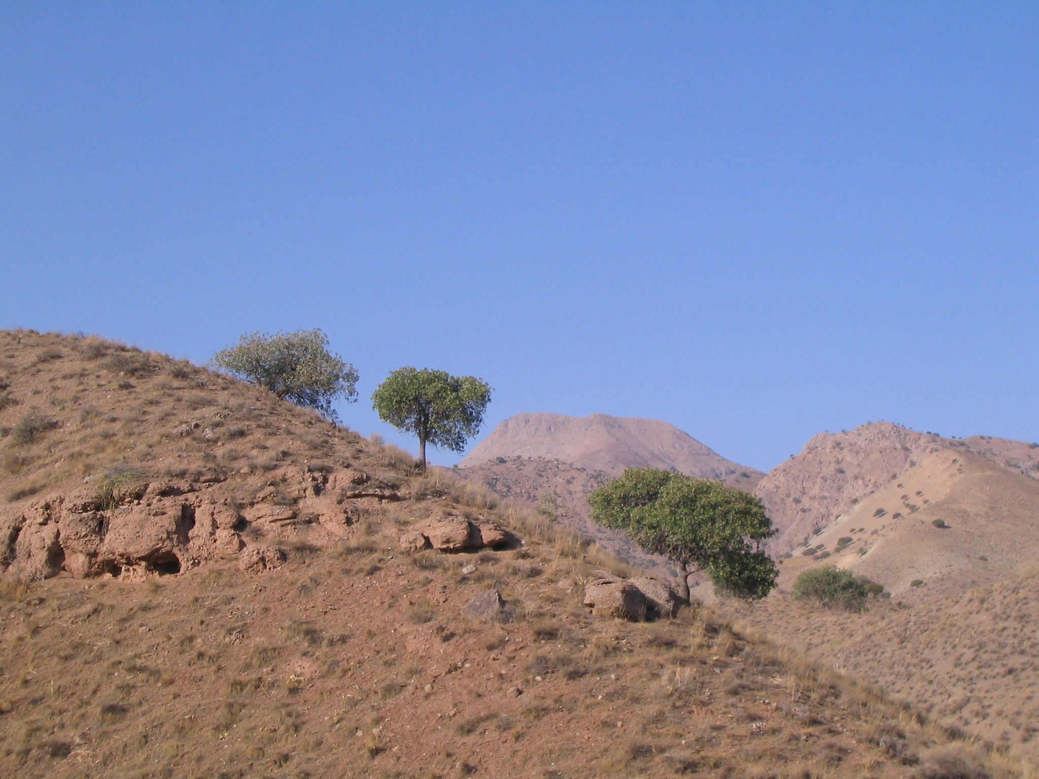 Khojir National Park 
