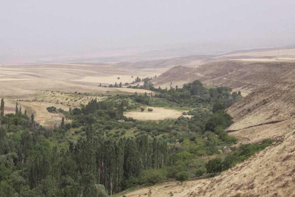 دهی در اطراف میانه 