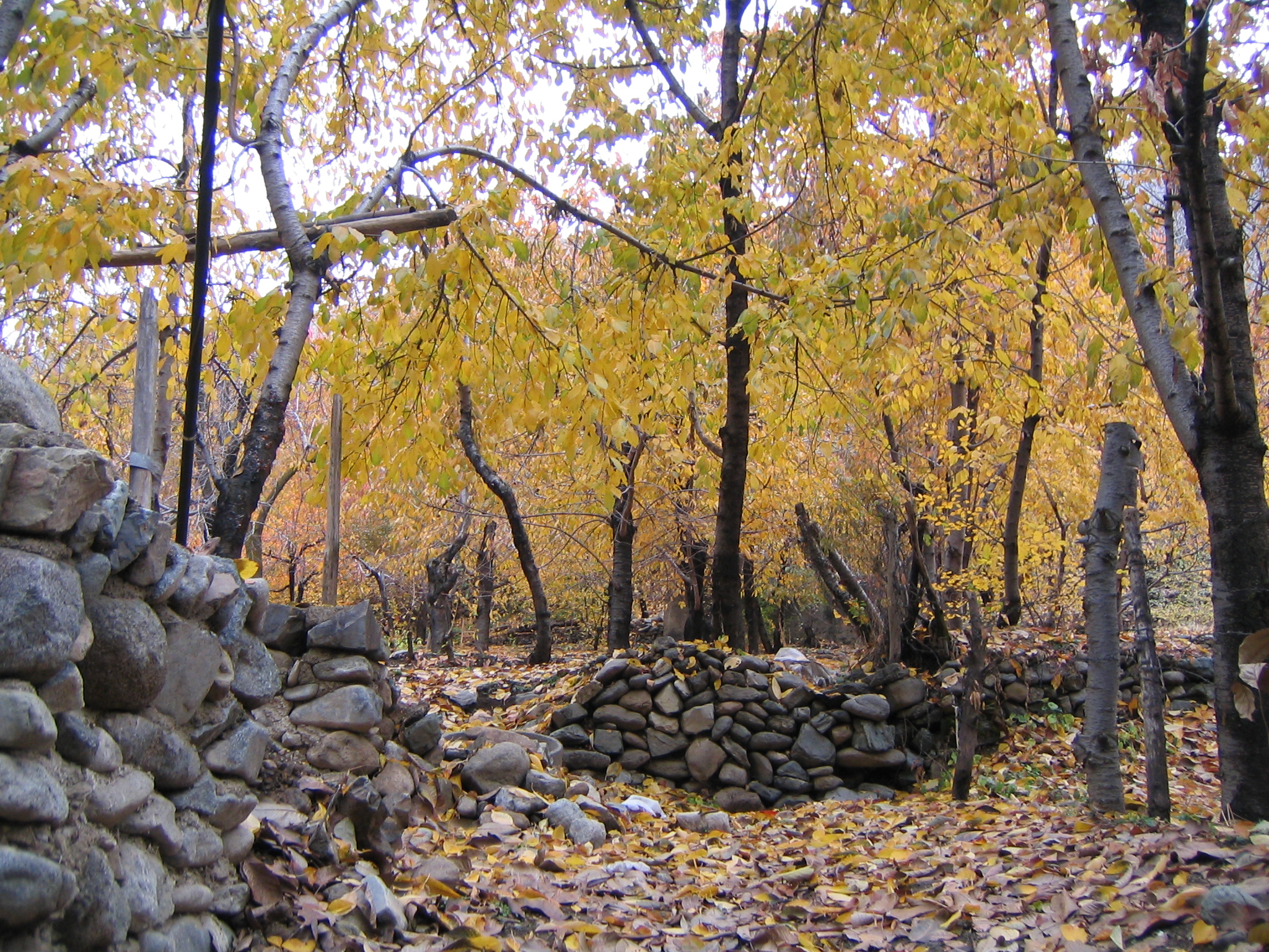 Sangan in Fall 