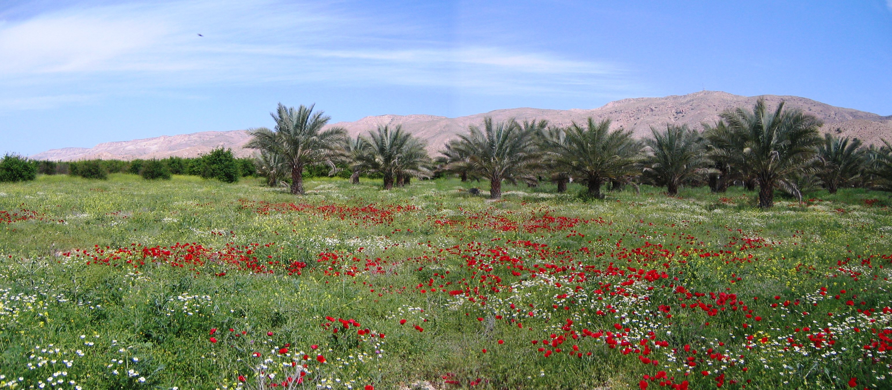 تفرجگاههای روستای اسلام آباد قیر 