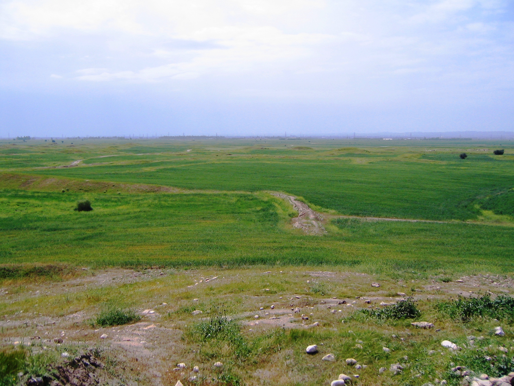 تپه های باستانی ارجان 