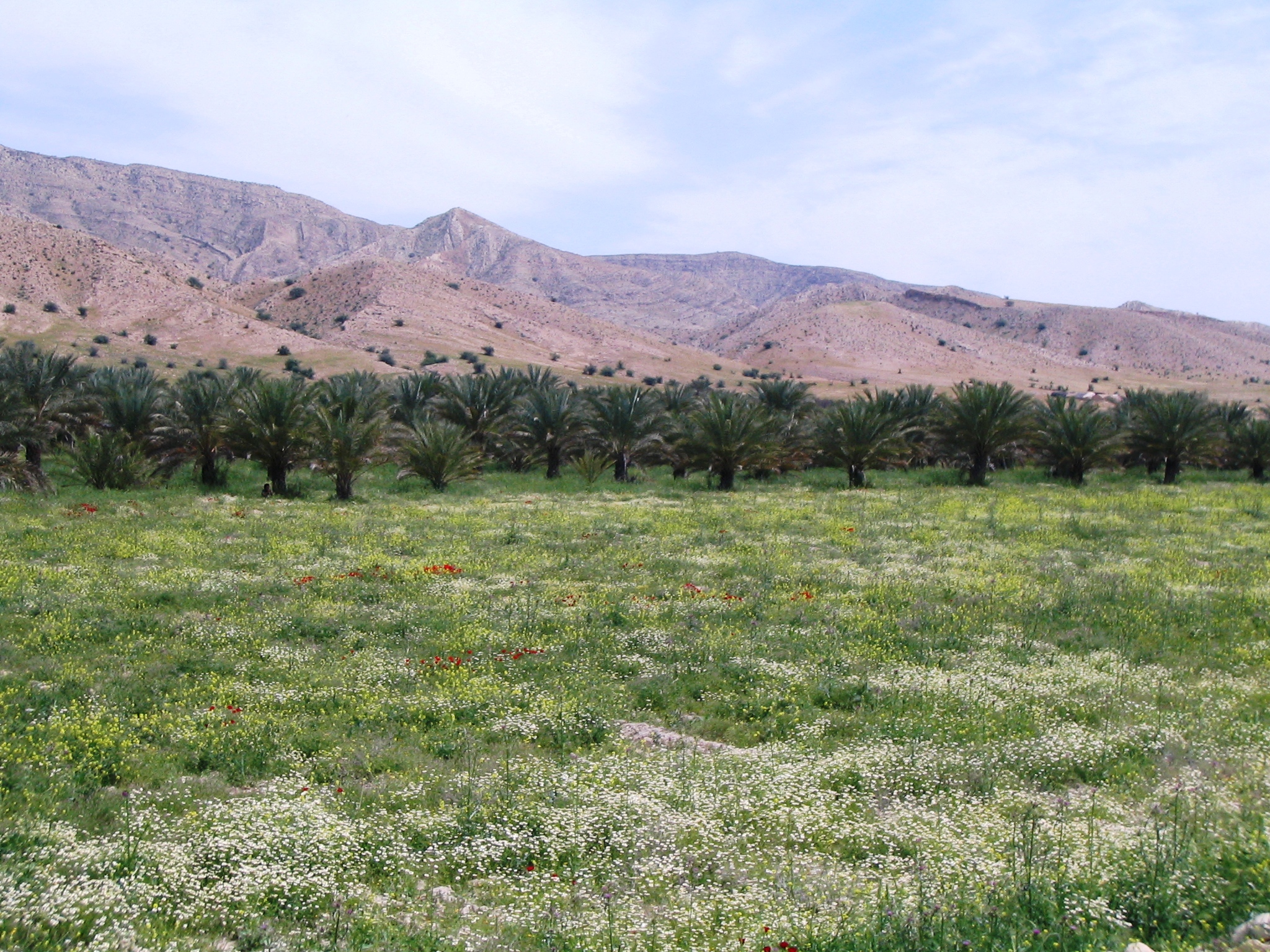 تفرجگاههای روستای اسلام آباد قیر 