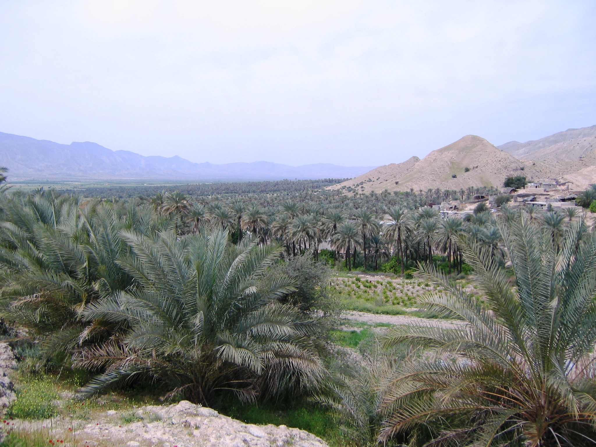 تفرجگاههای روستای اسلام آباد قیر 