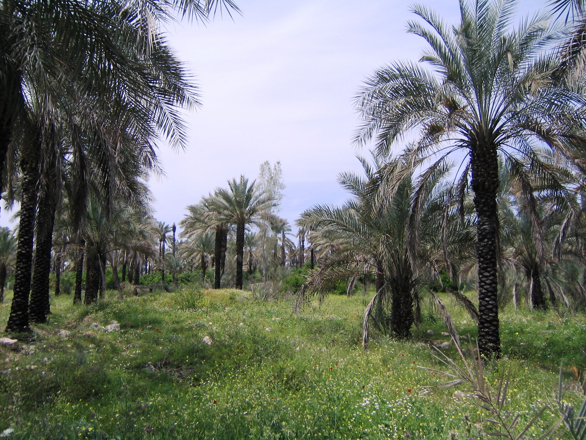 تفرجگاههای روستای اسلام آباد قیر 