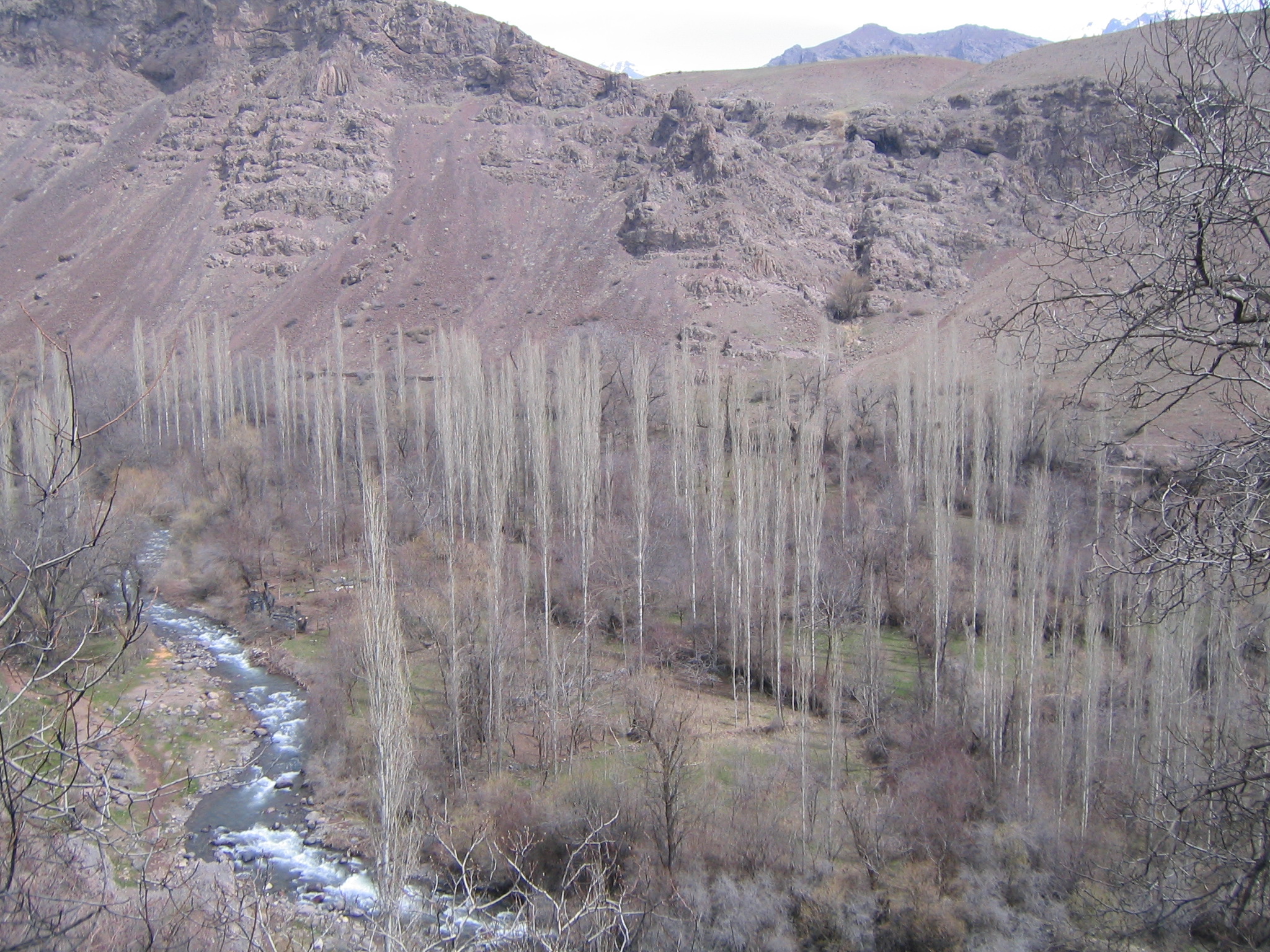 Hassan joon Valley 