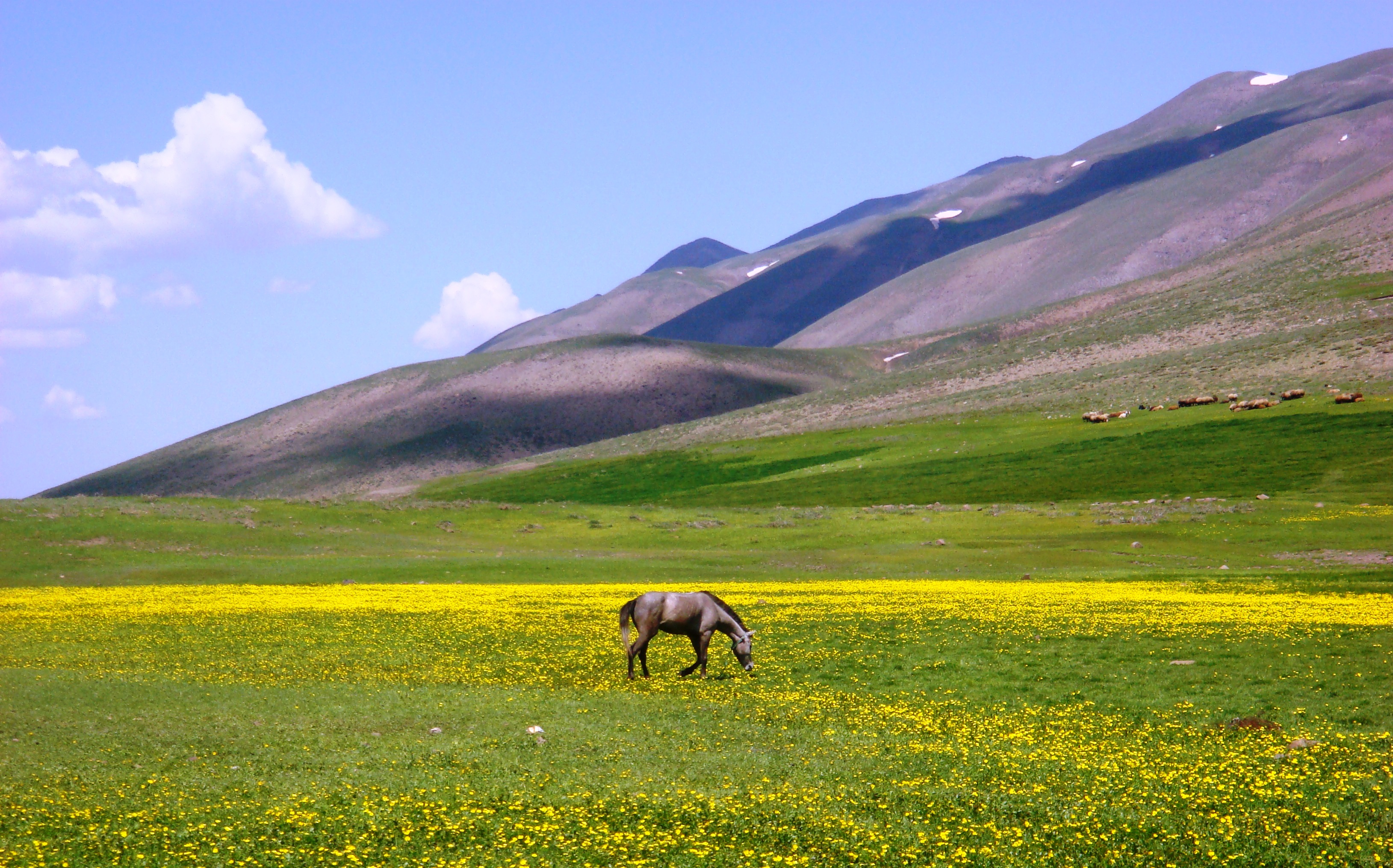 آذربایجان