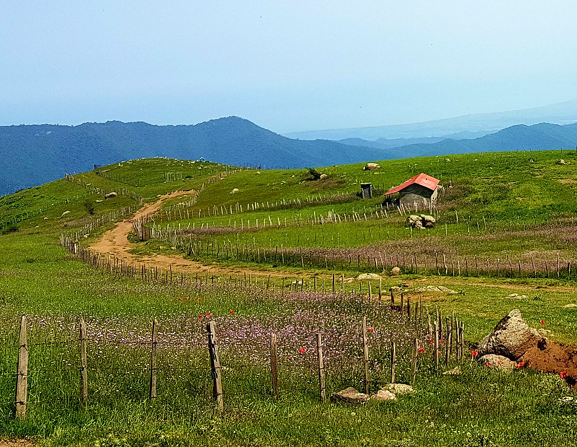 سوباتان