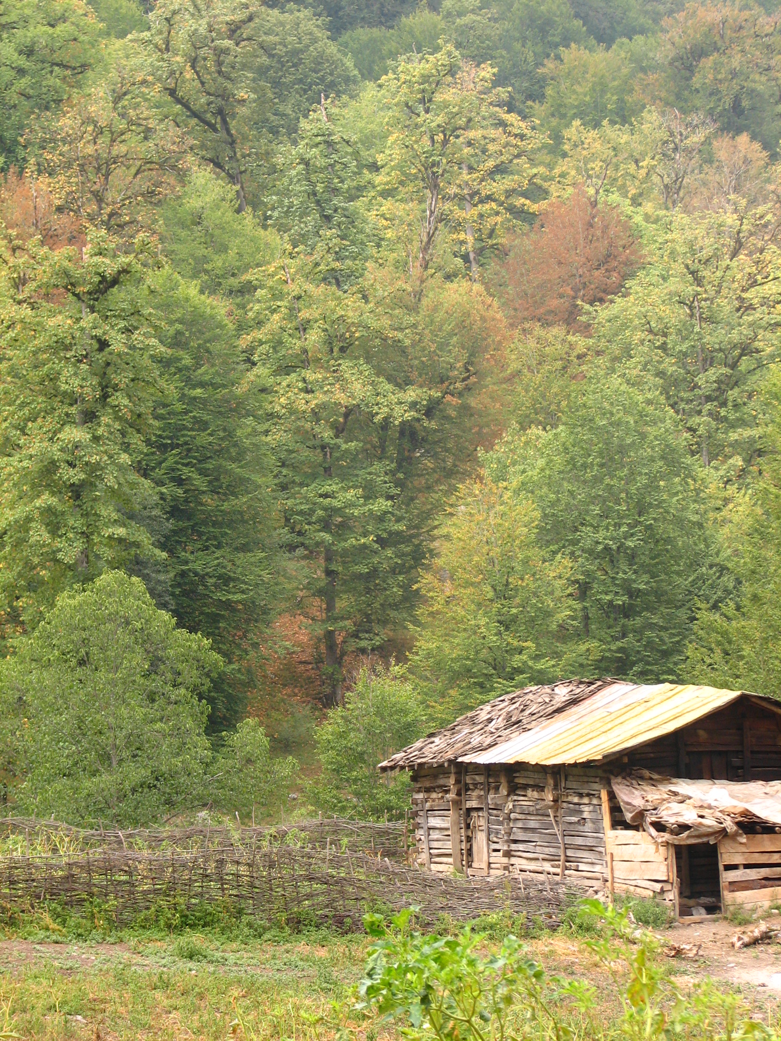 Rural Cottage