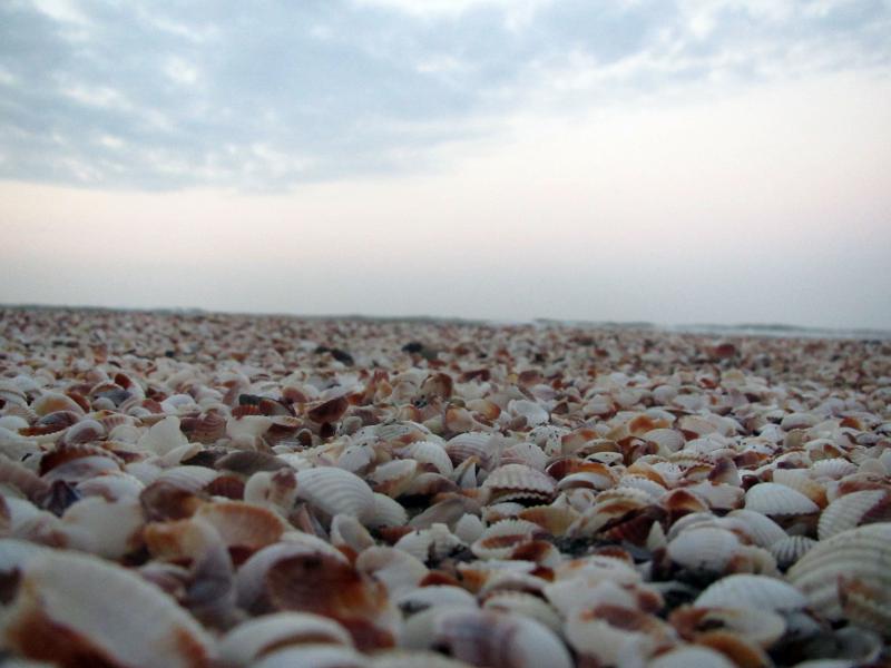 Beach of Abbas Abad 