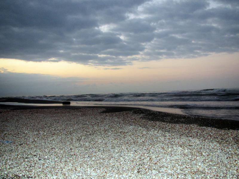 Beach of Abbas Abad 