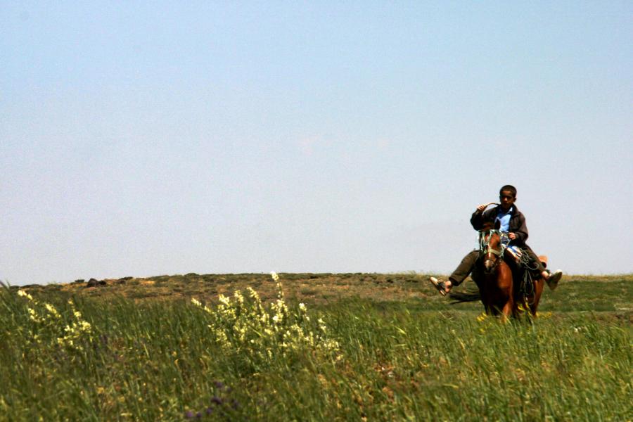 پسری در حال اسب سواری 
