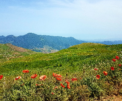 سوباتان