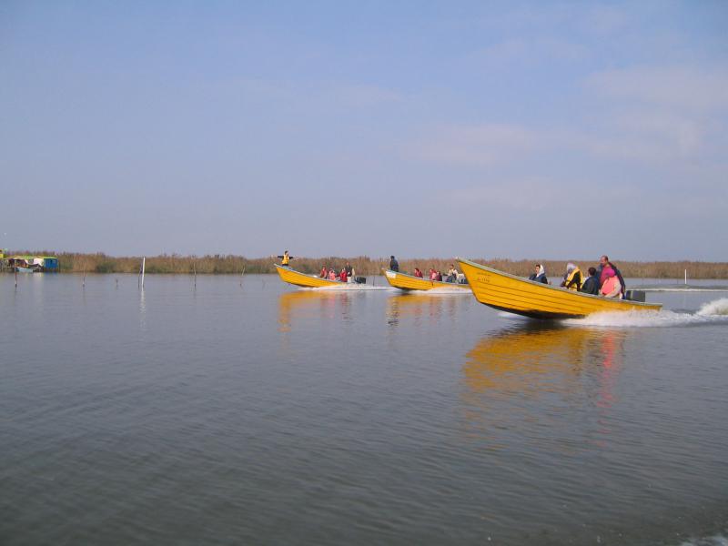 Anzali Lagoon 