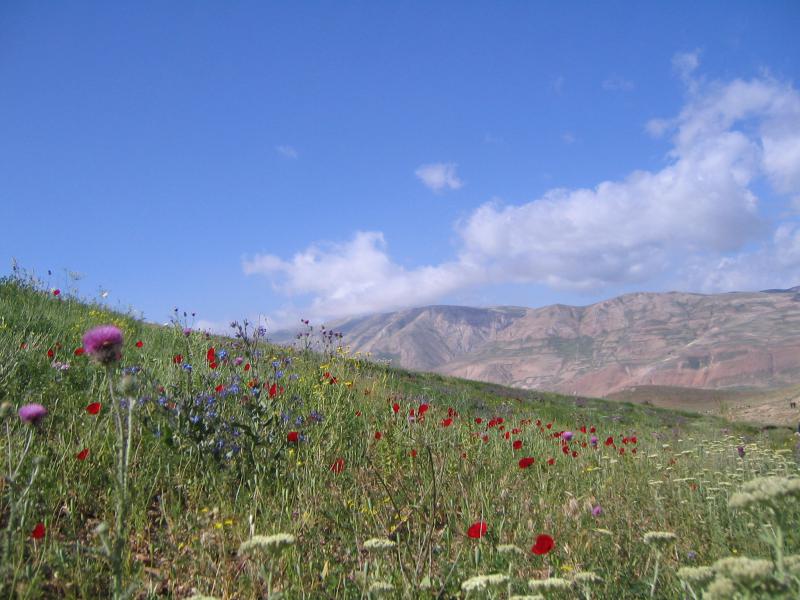 Khemes-Talesh 