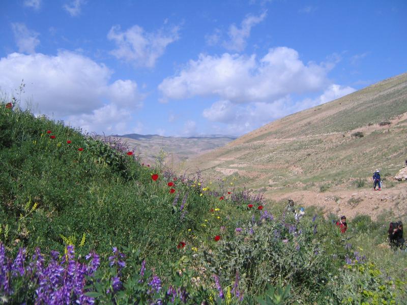 Khemes-Talesh 