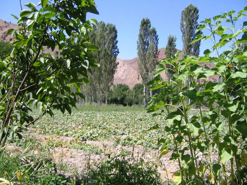 Harandeh Valley