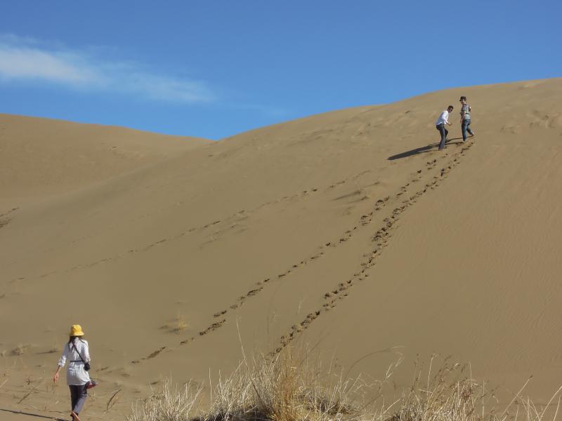 Maranjab desert sandy hill 