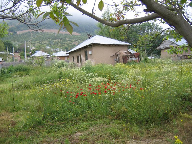 روستای داماش 