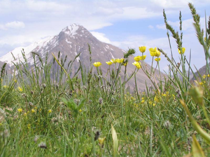 Lar National Park 