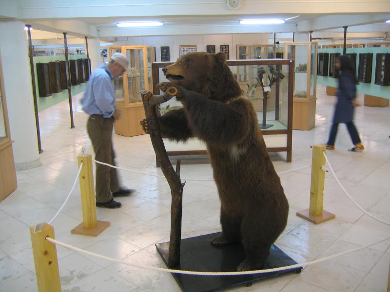 Geopark museum