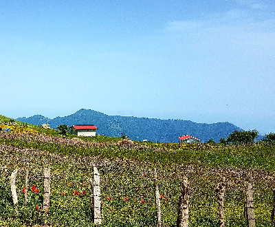 سوباتان