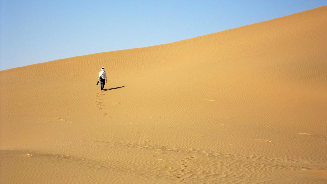 کویر مصر  