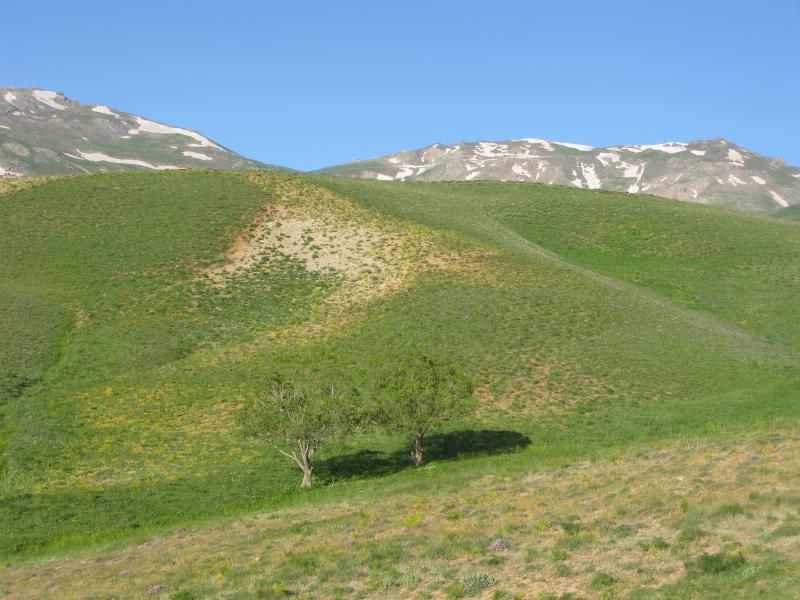 Chehel Cheshmeh Mountains 