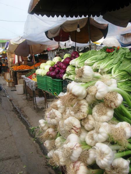 Fresh Garlic