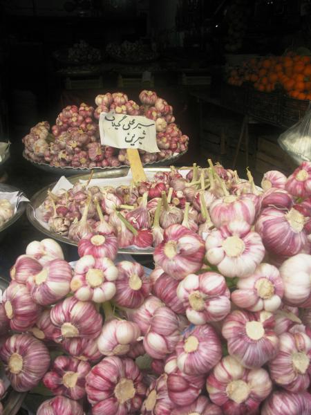 Fresh Garlic