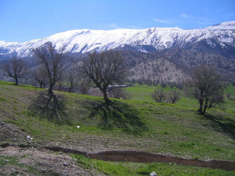 کبیرکوه 